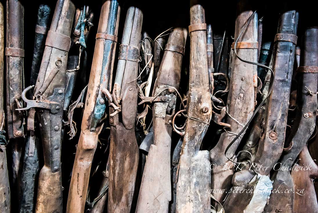 Poaching is an unrelenting threat 