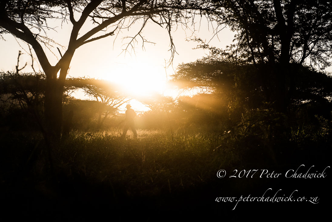 Africa's Rangers Protect More Than Ecological Integrity