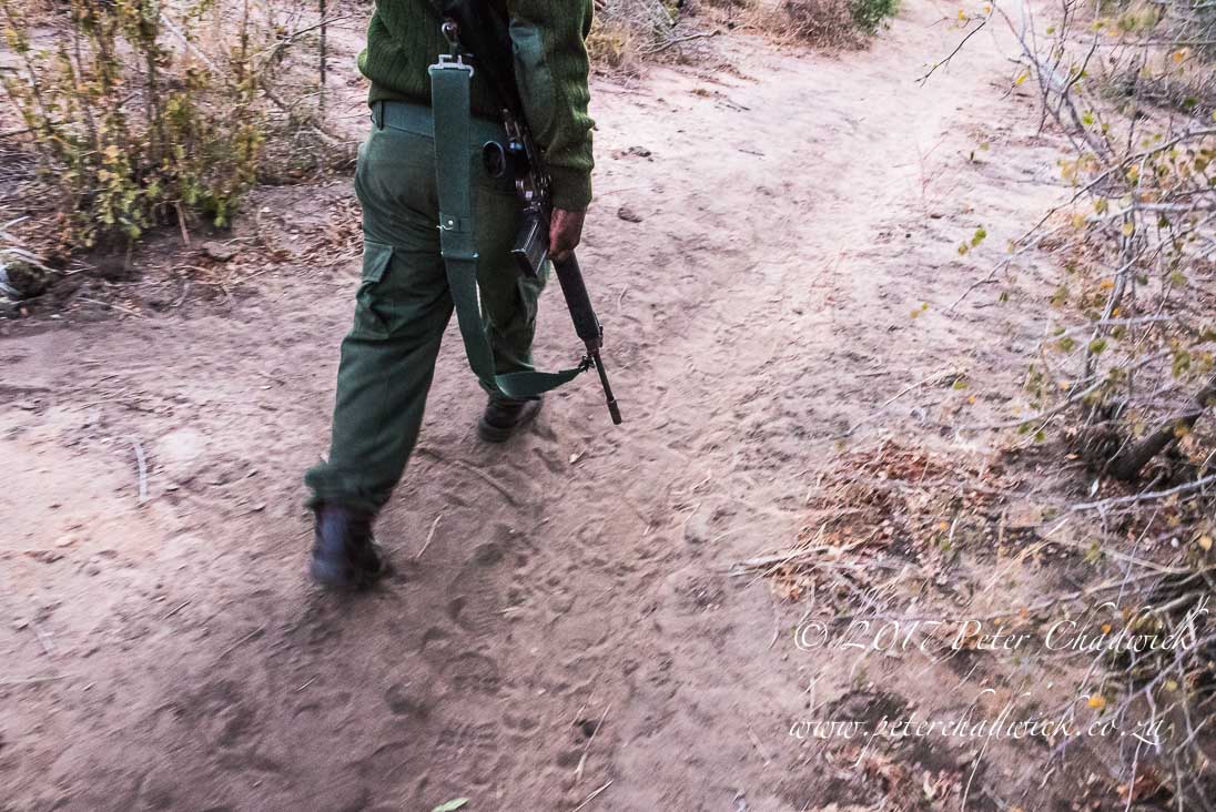 Tracking a Specialized Skill 