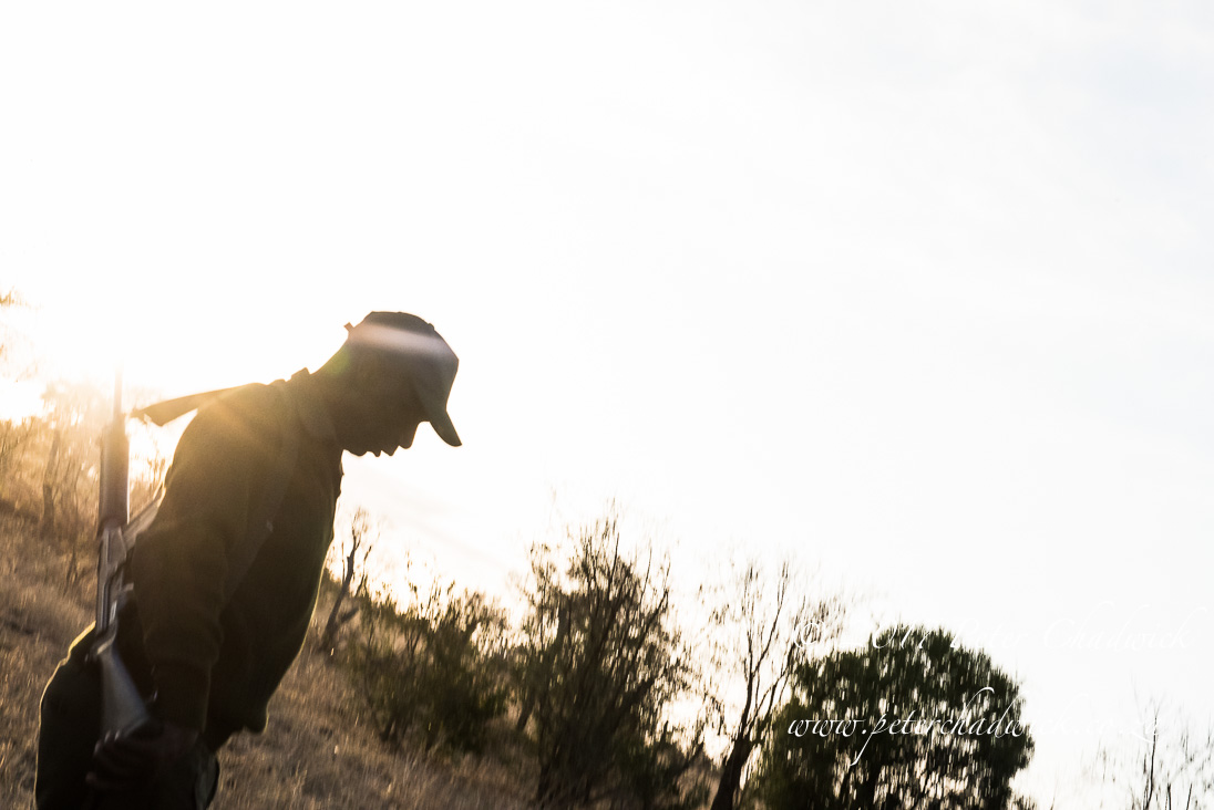 Trust and Leadership in Conservation