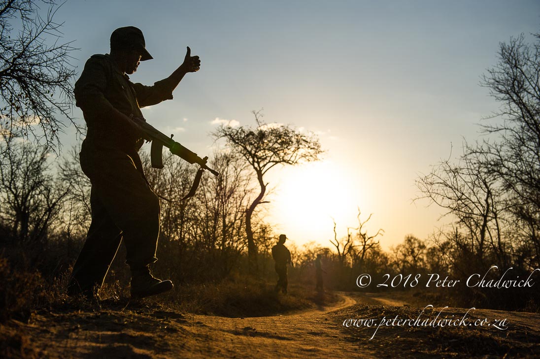 What it takes to be a ranger on World Ranger Day 2018