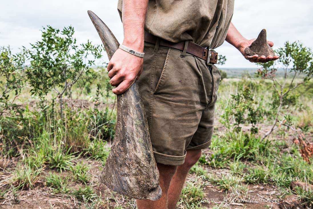 The Meaning of Rhino Horn