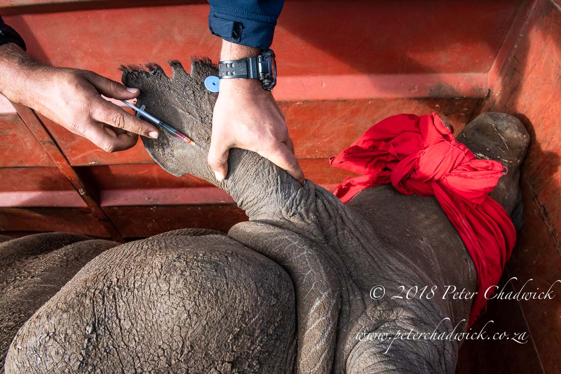 Rhino Conservation Heroes